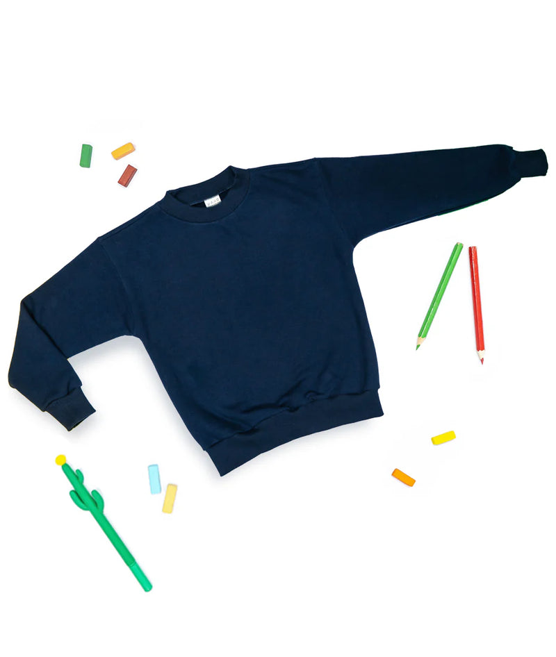 Laviva Toddler Sweatshirts 100% Cotton – Aviva Wholesale Florida